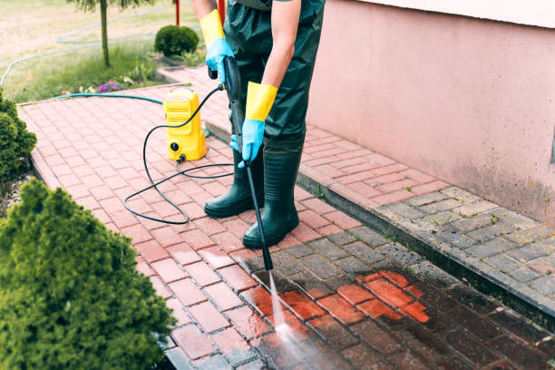 Pre-Holiday Cleaning in Grand Forks Af, ND
